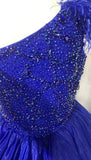 Little Child's Gorgeous Royal Blue Prom Pageant Couture - ToddlerPageantDress