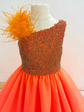Miss Teens Gorgeous Sparkly Evening Gown with Feather - ToddlerPageantDress