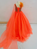 Miss Teens Gorgeous Sparkly Evening Gown with Feather - ToddlerPageantDress