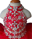 Little Princess Glitz Red Cupcake Pageant Dress For Little Girl - ToddlerPageantDress