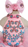 Custom Made Nations Little Miss Pink Stunning Pageant Dress With Hair bow - ToddlerPageantDress