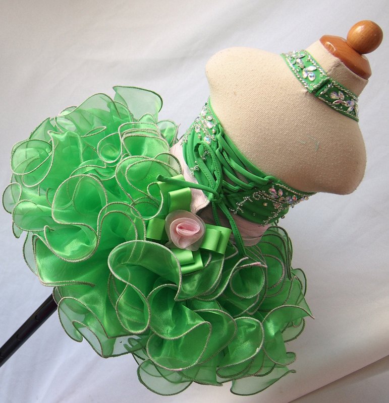 Infant/toddler/baby/children/kids Girl's Pageant evening/prom/ball Dress 1 - 4T G073 - 5 - ToddlerPageantDress